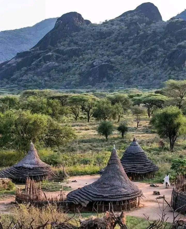 Karamoja landscape with manyatta homesteads beneath the mountains